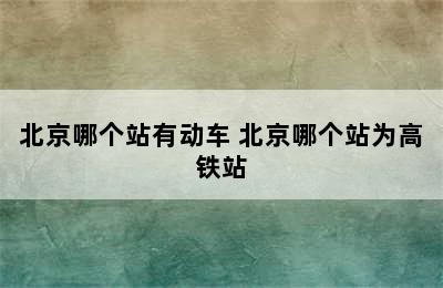 北京哪个站有动车 北京哪个站为高铁站